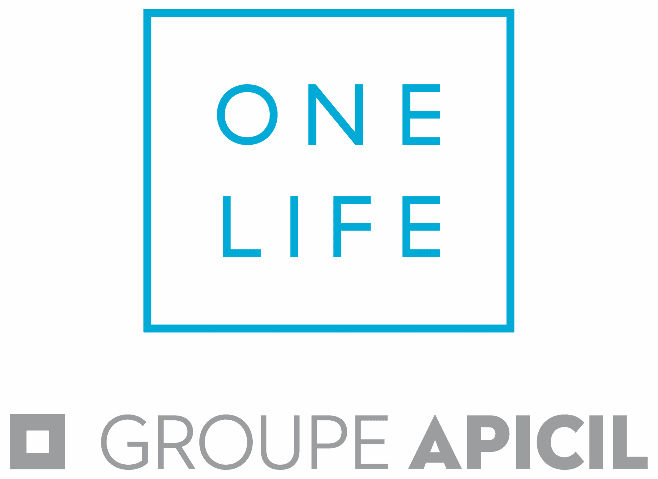 ONELIFE APICIL Endossement - BLUE-GREY